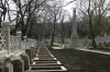 2006