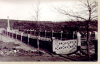 1920