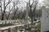 2006