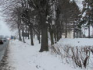 lokalita - Frýdlant-Větrov, pomník obětem I. sv. v.#2